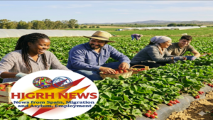 Diverse agricultural workers harvesting strawberries in Huelva with the HIGRH NEWS logo, illustrating employment for refugees and asylum seekers in Spain.