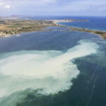 Milky white patch of water in Spain's Mar Menor lagoon