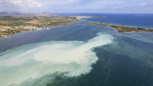 Milky white patch of water in Spain's Mar Menor lagoon