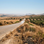 Calor extremo en Andalucía durante una jornada de altas temperaturas